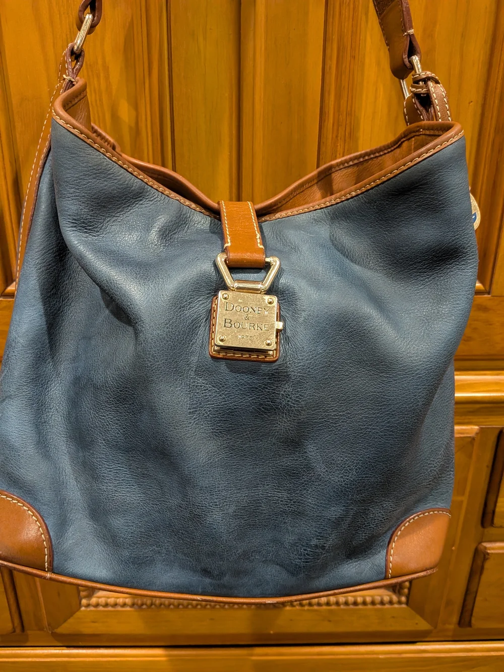 Dooney & Bourke Blue and Brown Leather Hobo Bag